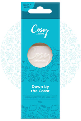 Down by the Coast Wax Melt