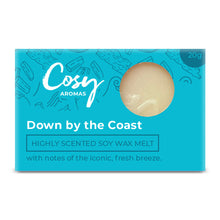 Load image into Gallery viewer, Down by the Coast Wax Melt