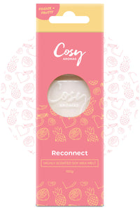 Reconnect Wax Melt